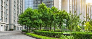 commercial Landscaping pittsburgh